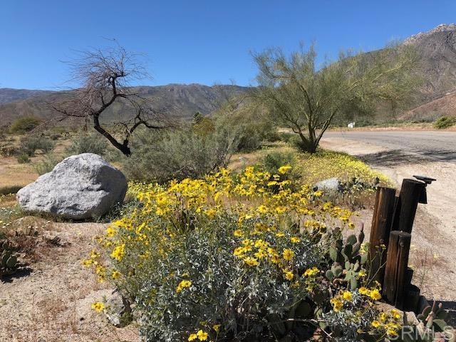 2207 Hoberg Rd, Borrego Springs, CA 92004 - mountain view