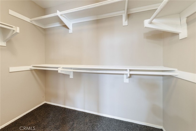 1263 Date Palm Dr, Carson, CA 90746 - spacious closet featuring dark colored carpet