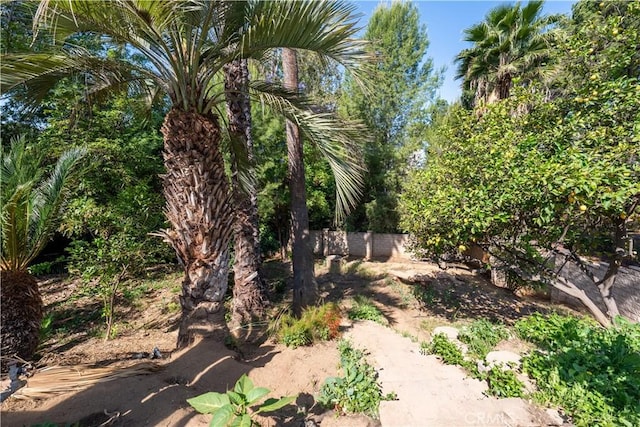2110 Hathaway Pl, Riverside, CA 92506 - view of yard
