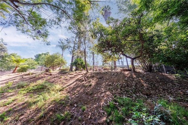 2110 Hathaway Pl, Riverside, CA 92506 - view of yard