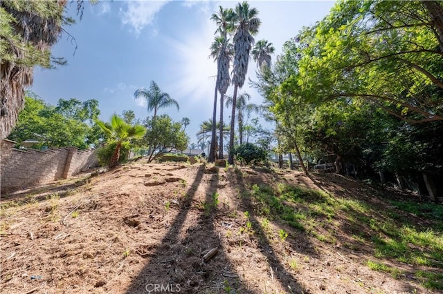 2110 Hathaway Pl, Riverside, CA 92506 - view of yard
