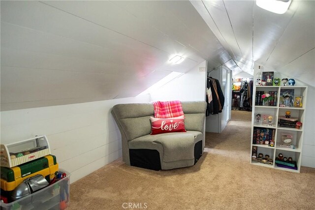 8924 Towne Ave, Los Angeles, CA 90003 - photo 10