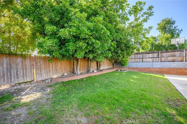 3319 Sparr Blvd, Glendale, CA 91208 - view of yard