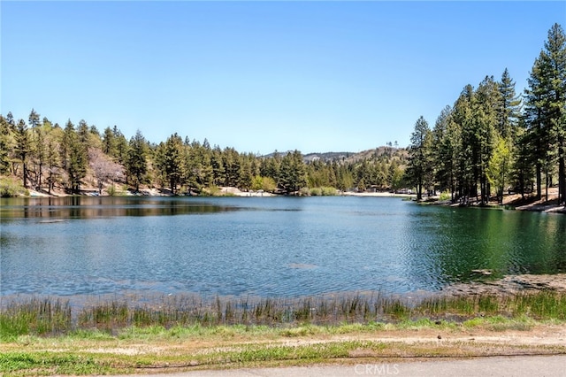 609 Dahlia Dr, Green Valley Lake, CA 92341 - photo 22