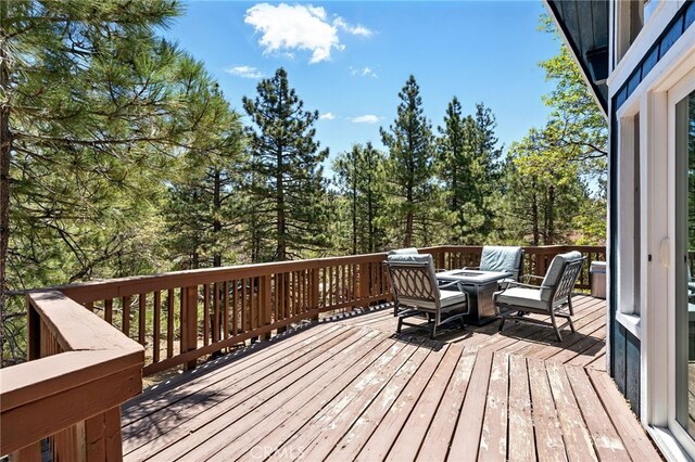 609 Dahlia Dr, Green Valley Lake, CA 92341 - photo 20