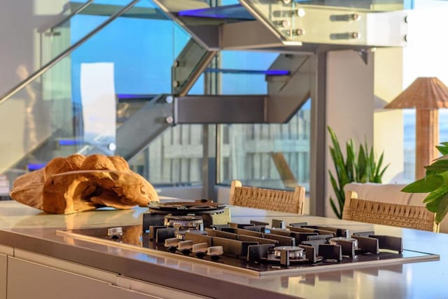 3879 Ocean Front Walk, San Diego, CA 92109 - detailed view of stainless steel gas cooktop