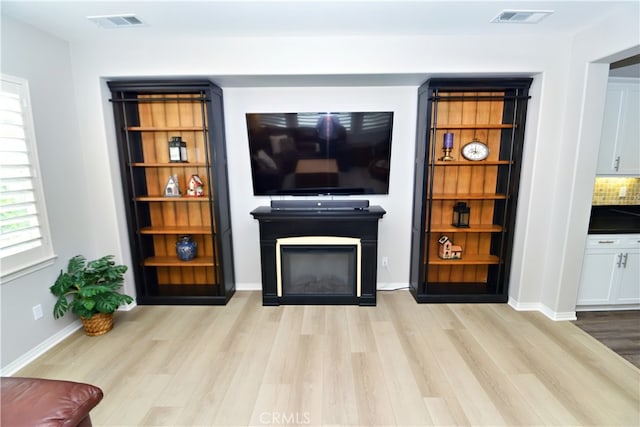 35582 Laurel Tree Ct, Winchester, CA 92596 - living room featuring light wood-style floors, a glass covered fireplace, and baseboards