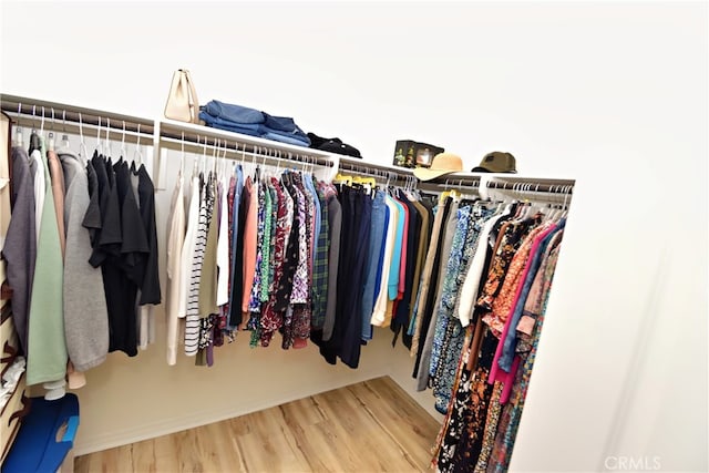 35582 Laurel Tree Ct, Winchester, CA 92596 - walk in closet featuring wood finished floors