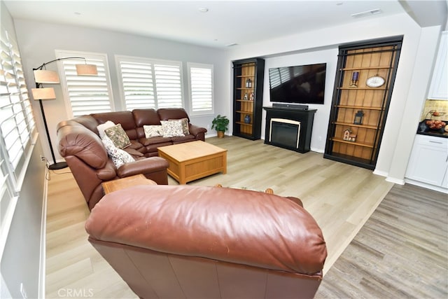 35582 Laurel Tree Ct, Winchester, CA 92596 - living area with light wood finished floors, a fireplace, and baseboards