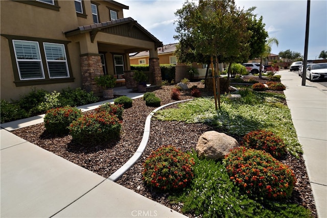 35582 Laurel Tree Ct, Winchester, CA 92596 - view of yard