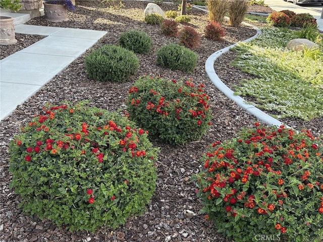 35582 Laurel Tree Ct, Winchester, CA 92596 - view of yard