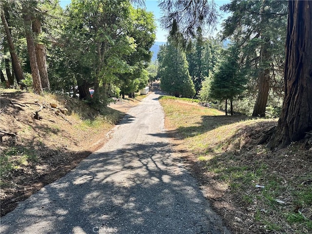 0 Bone Dr, Cedarpines Park, CA 92322