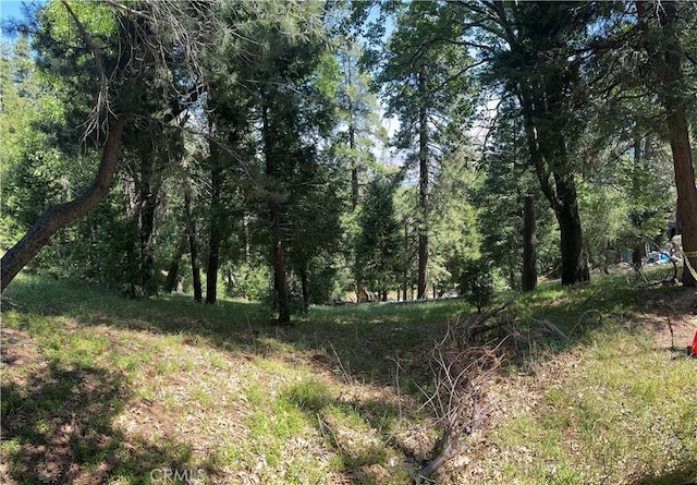 0 Bone Dr, Cedarpines Park, CA 92322