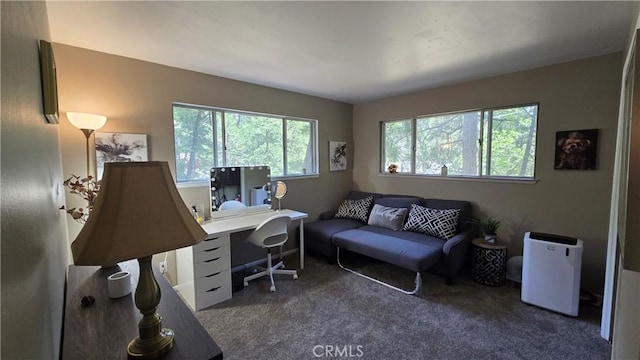 6286 Columbine Rd, Magalia, CA 95954 - office featuring carpet flooring