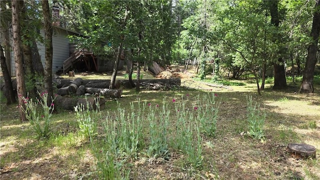 6286 Columbine Rd, Magalia, CA 95954 - view of yard