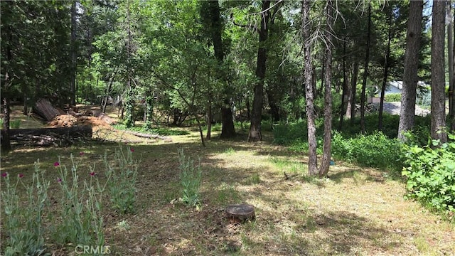 6286 Columbine Rd, Magalia, CA 95954 - view of tree filled area