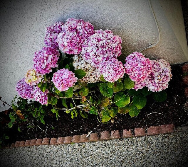 2270 W 231st St, Torrance, CA 90501 - photo 74
