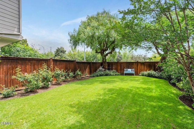 2911 Butter Creek Dr, Pasadena, CA 91107 - view of yard