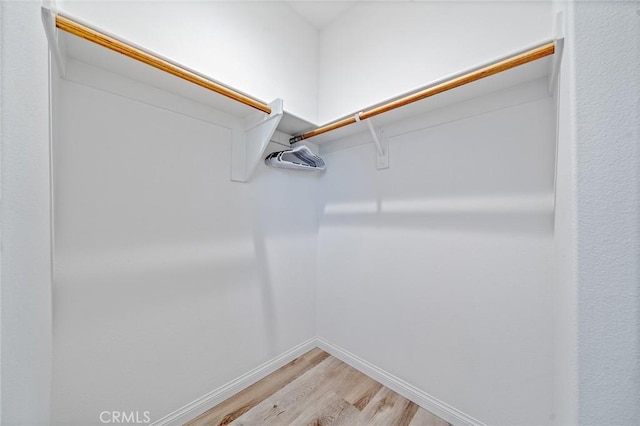 843 Longhorn Way, Rancho Mission Viejo, CA 92694 - spacious closet with light wood-type flooring