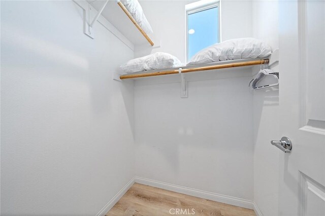 843 Longhorn Way, Rancho Mission Viejo, CA 92694 - spacious closet with light wood-type flooring
