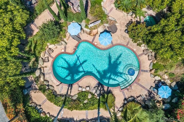 1364 Park Plaza Dr, Long Beach, CA 90804 - drone / aerial view of a pool