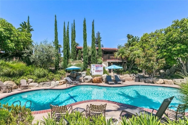1364 Park Plaza Dr, Long Beach, CA 90804 - community pool with a patio