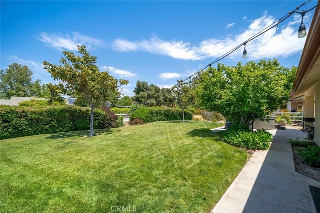 1730 Sandalwood Ln, Templeton, CA 93465 - photo 13