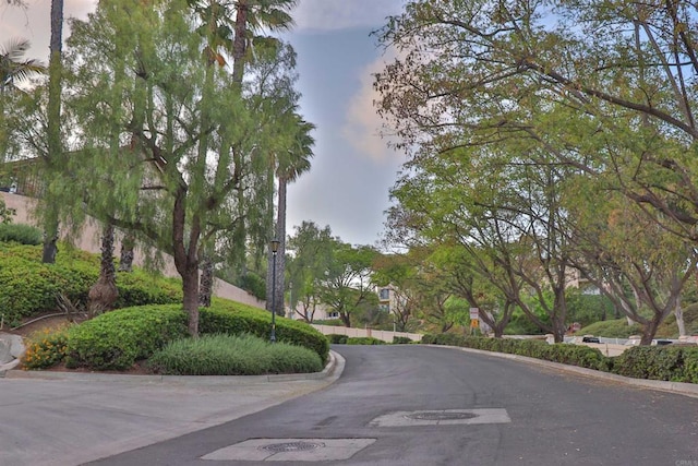 5787 Barbary Pl, Bonsall, CA 92003 - view of asphalt street with curbs