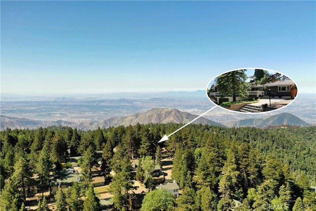 30955 Scenic Way, Running Springs, CA 92382 - mountain view with a heavily wooded area