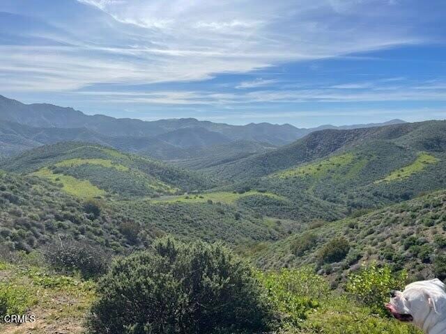 1045 Rotella St, Newbury Park, CA 91320 - view of mountain background