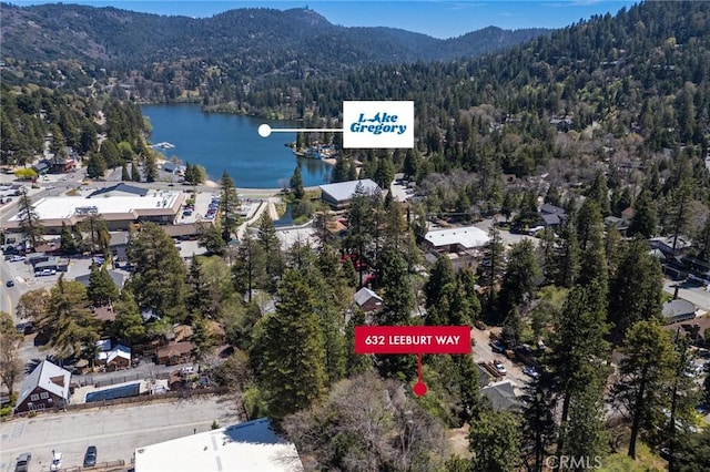 632 Leebert Way, Crestline, CA 92325 - photo 4