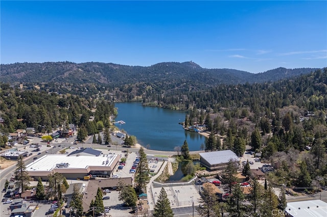 632 Leebert Way, Crestline, CA 92325 - photo 5