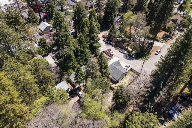 632 Leebert Way, Crestline, CA 92325 - photo 20