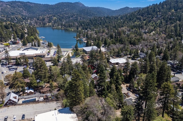 632 Leebert Way, Crestline, CA 92325 - photo 21