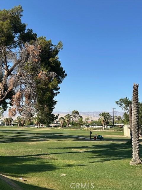61765 Arroyo Rd Unit 5, Palm Springs, CA 92264 - view of property's community featuring a lawn, a storage unit, and golf course view
