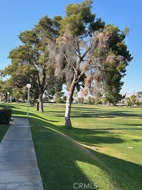 61765 Arroyo Rd Unit 5, Palm Springs, CA 92264 - surrounding community with a yard