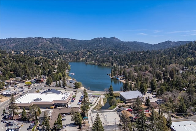 632 Leebert Way, Crestline, CA 92325 - aerial view of a heavily wooded area and a water and mountain view
