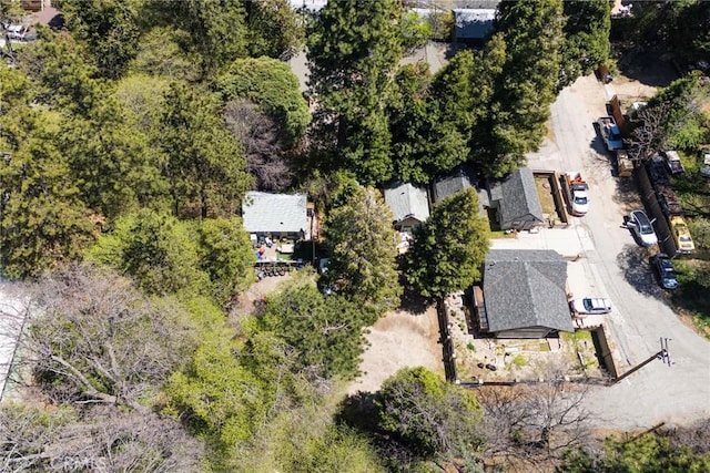 632 Leebert Way, Crestline, CA 92325 - bird's eye view