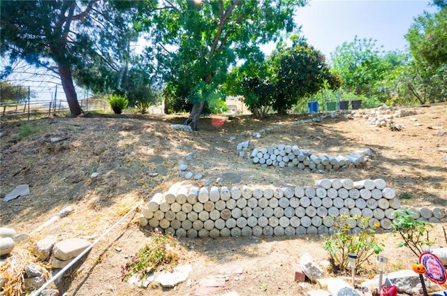 2602 Onyx Dr, Los Angeles, CA 90032 - view of yard