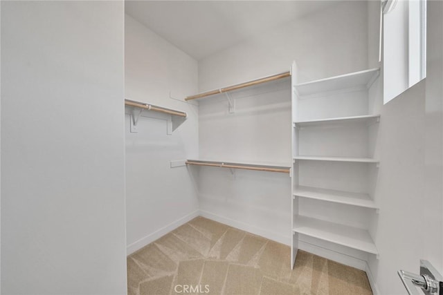 158 Restore, Irvine, CA 92618 - photo 20