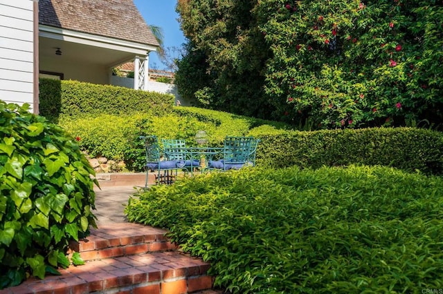 7716 Lookout Dr, La Jolla, CA 92037 - view of yard with a patio area