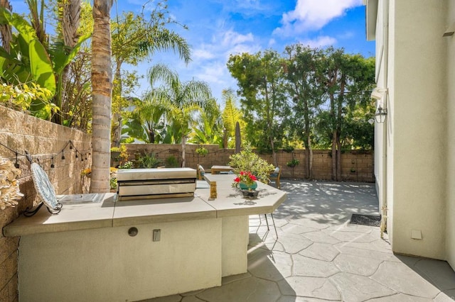 2185 Twain Ave, Carlsbad, CA 92008 - fenced backyard with a patio area