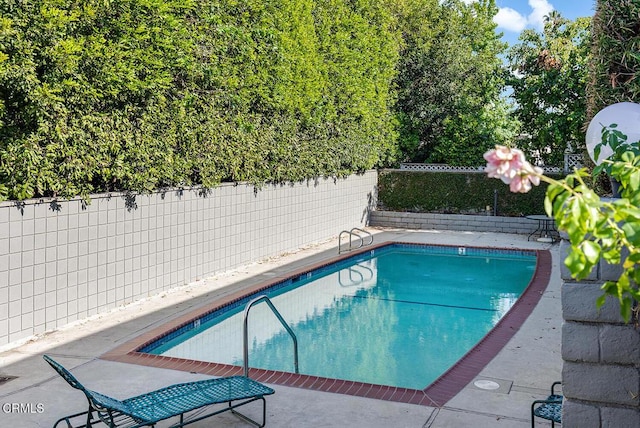 848 S Orange Grove Blvd, Pasadena, CA 91105 - view of pool featuring a fenced backyard