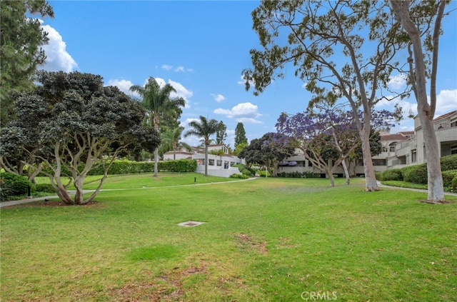 17191 Corbina Ln Unit 109, Huntington Beach, CA 92649 - view of green lawn featuring a residential view