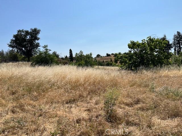 696 Buschmann Rd, Paradise, CA 95969 - photo 7