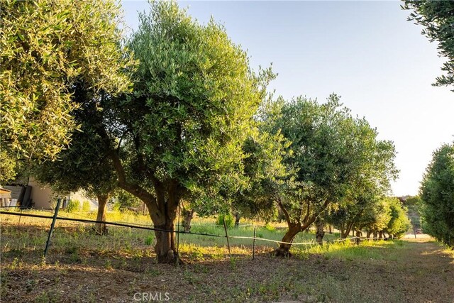 5015 Stagg Hill Pl, Paso Robles, CA 93446 - photo 40