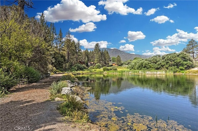 2320 Maplewood Way, Pine Mountain Club, CA 93222 - water view with mountains and a forest