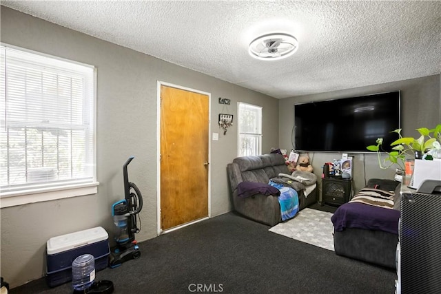 3339 E 4th St, Los Angeles, CA 90063 - living room featuring a textured ceiling and carpet