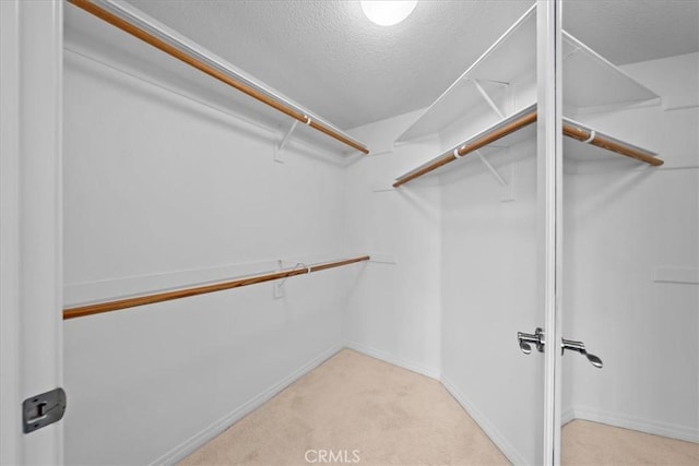 2750 Artesia Blvd Unit 337, Redondo Beach, CA 90278 - walk in closet with carpet floors