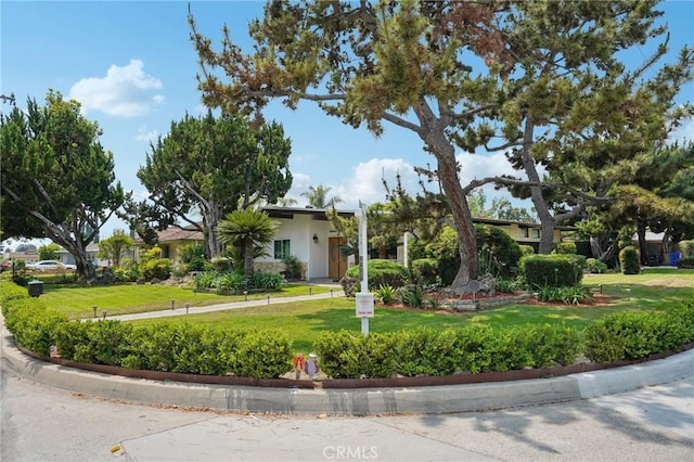 1721 S 3rd Ave, Arcadia, CA 91006 - view of front of property with a front lawn and stucco siding